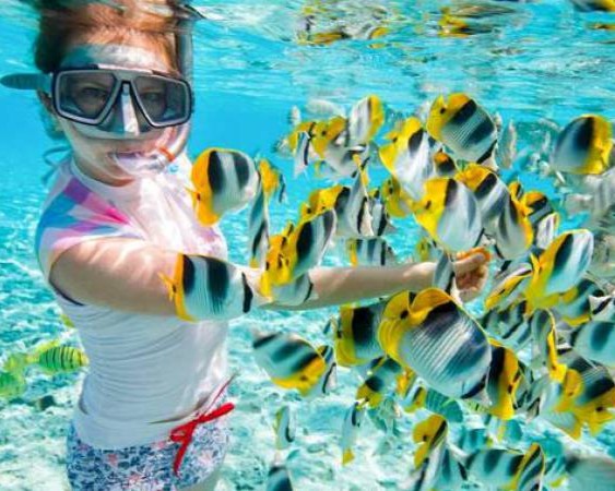 Blue Lagoon Snorkeling Tour - Vibrant coral reefs and marine life