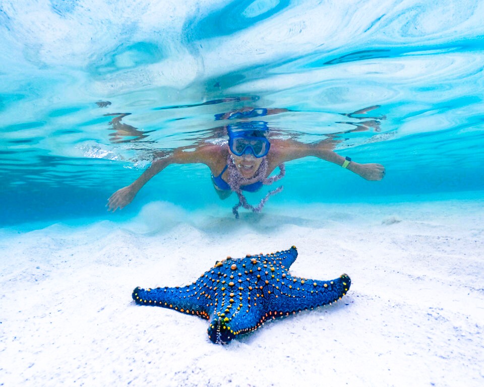 Blue Lagoon Snorkeling Tour - Underwater exploration with tropical fish