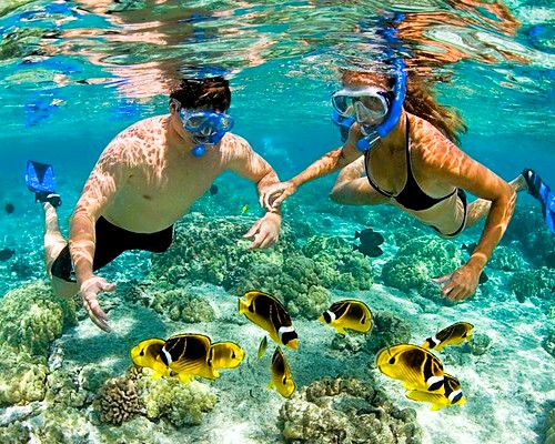 Blue Lagoon Snorkeling Tour - Crystal clear waters and sea creatures