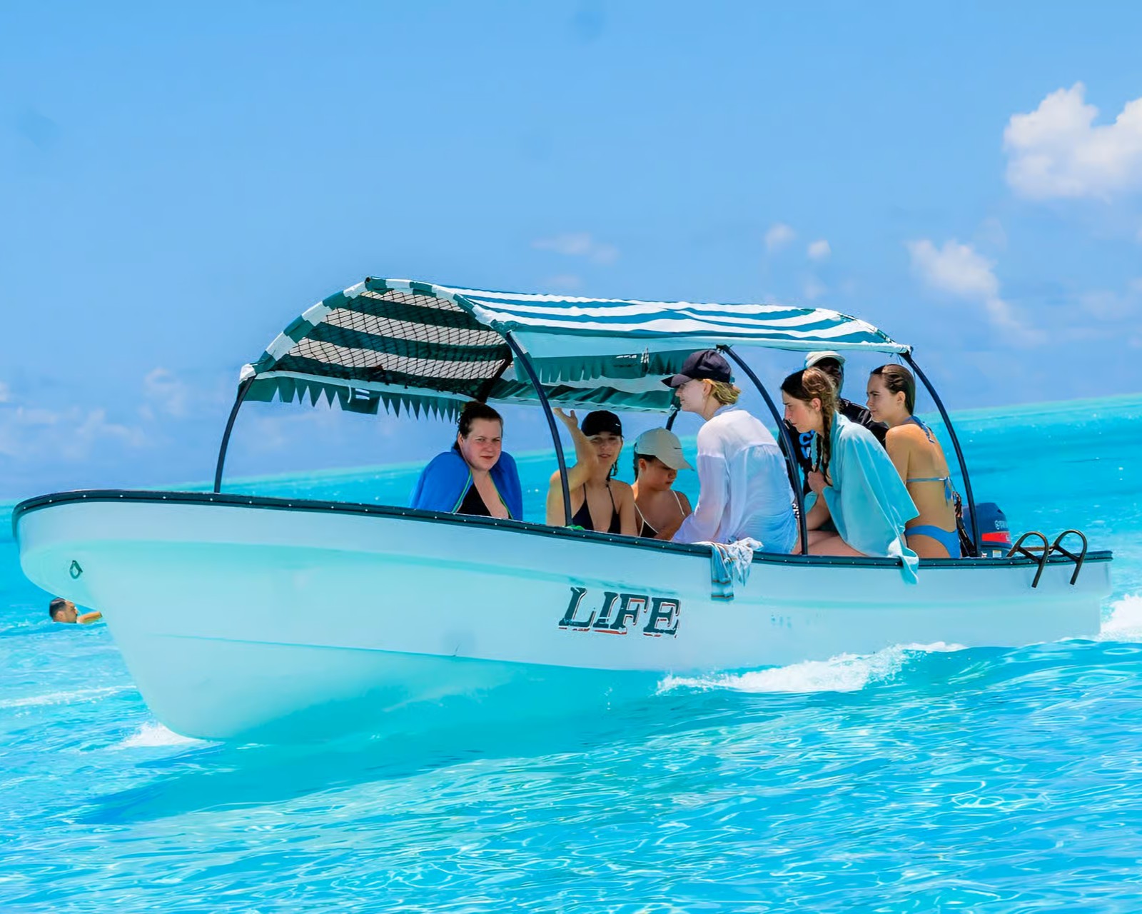 Dolphin watching and snorkeling tour in Kizimkazi, Zanzibar