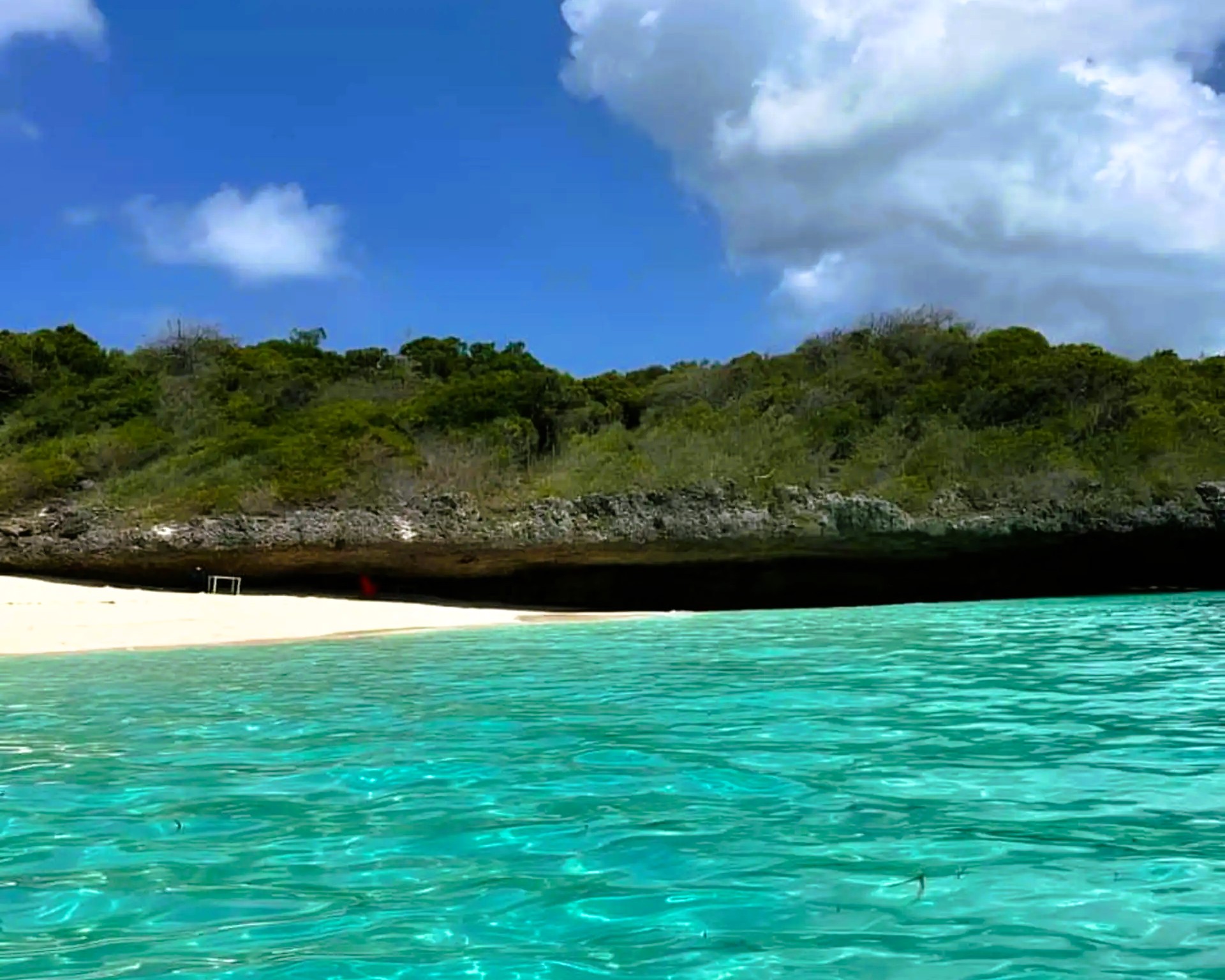 Snorkeling adventure in Zanzibar's Pungume Sandbank