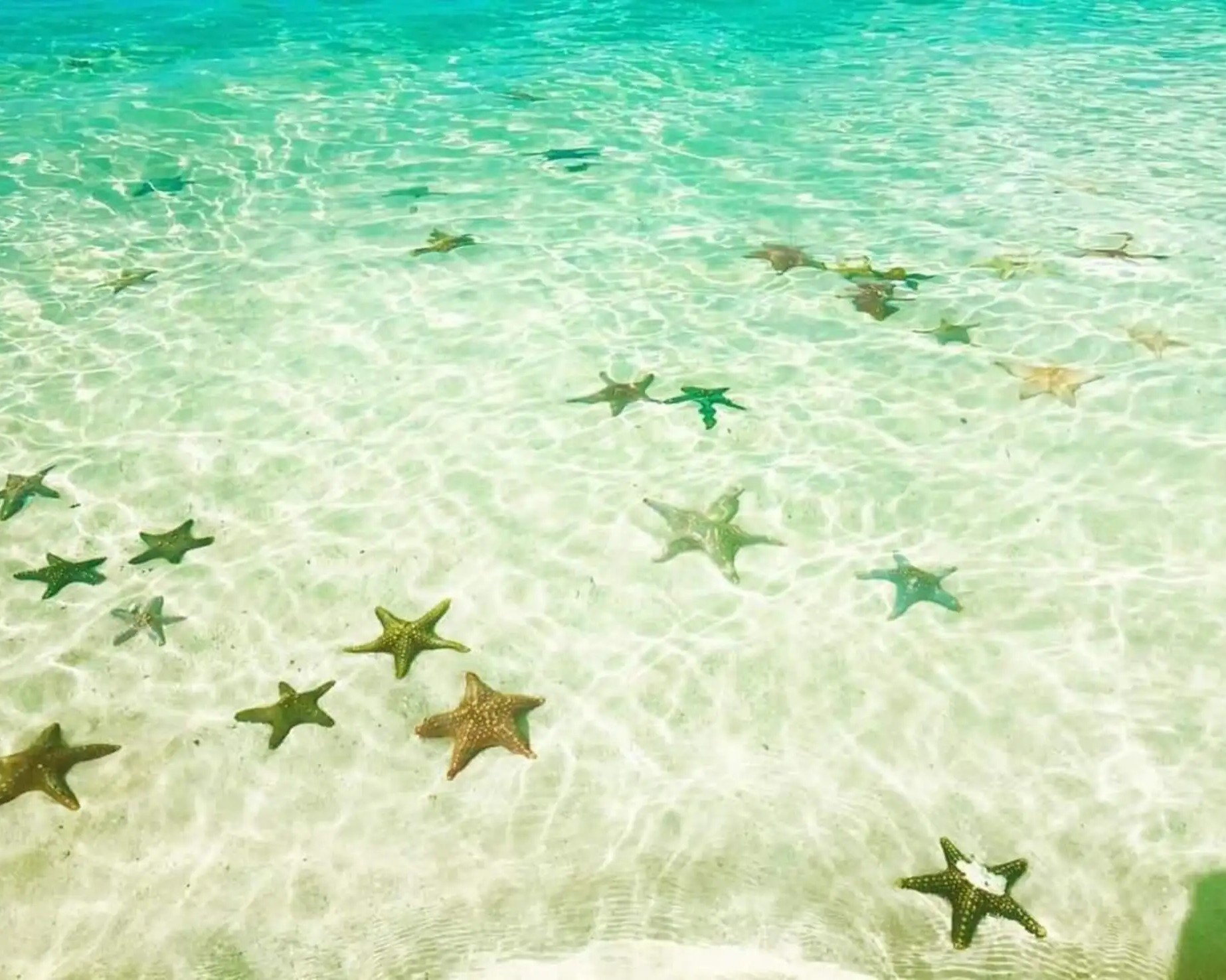 Relaxing on a secluded beach with tropical fruits after sailing boat adventure in Zanzibar