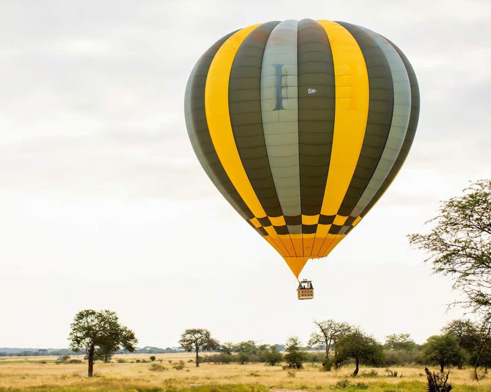 Hot air balloon soaring over Serengeti plains at sunrise