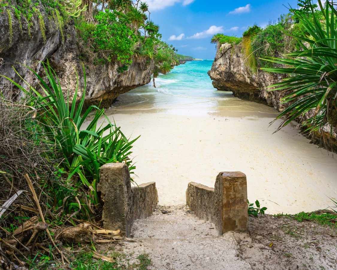 Zanzibar Half-Day Tours showcasing island adventures